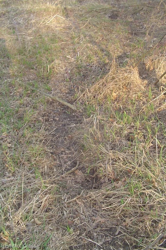 Vl Wiggins Road Howell, MI 48855 - Photo 23 of 25 Deer Trail