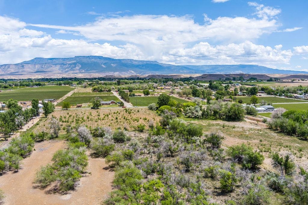 317 32 1/2 Road Grand Junction, CO 81503 - Photo 14 of 23 Gallery Image 14