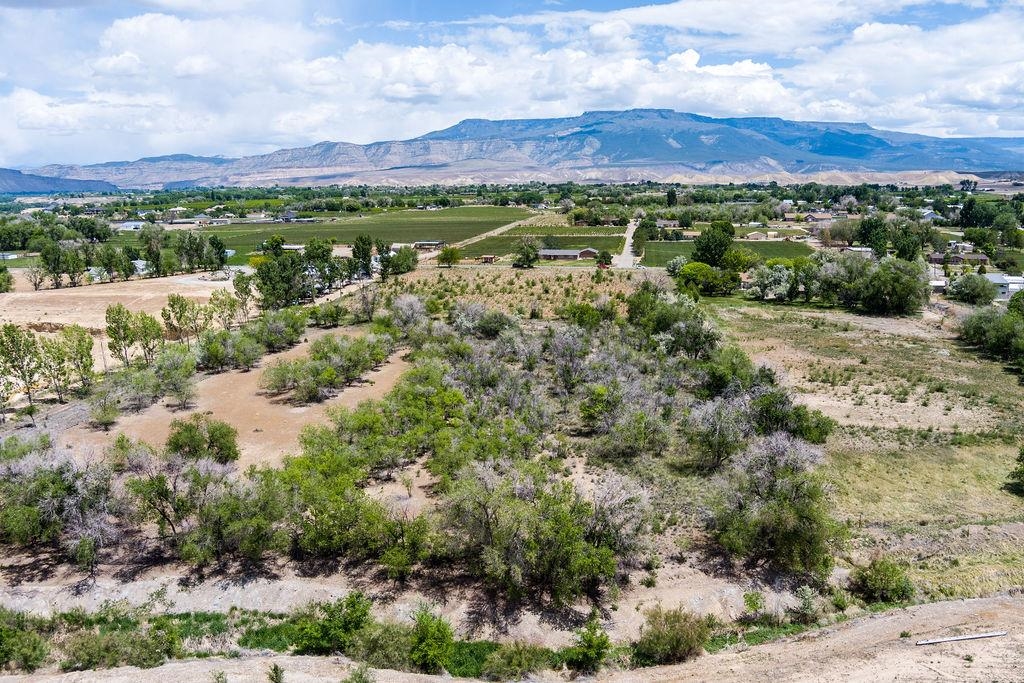 317 32 1/2 Road Grand Junction, CO 81503 - Photo 17 of 23 Gallery Image 17