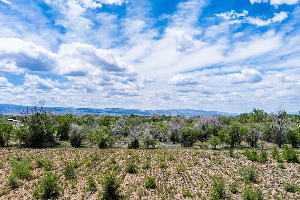 317 32 1/2 Road Grand Junction, CO 81503 - Photo 19 of 23 Gallery Image 19