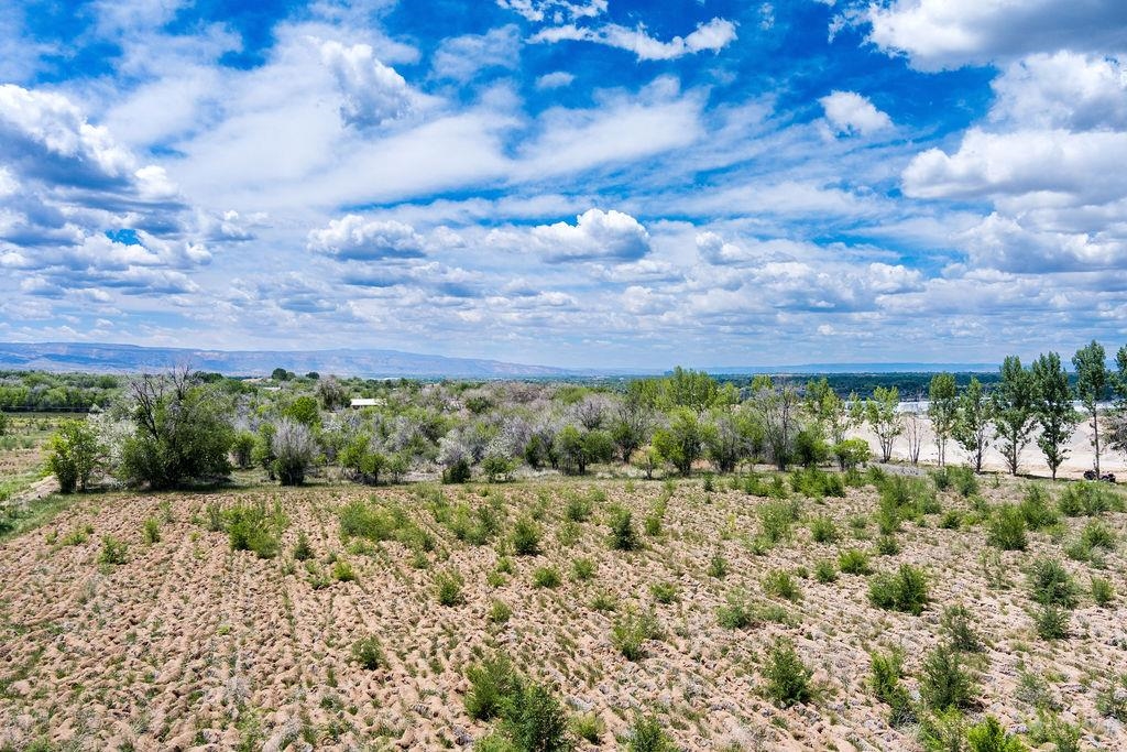 317 32 1/2 Road Grand Junction, CO 81503 - Photo 20 of 23 Gallery Image 20