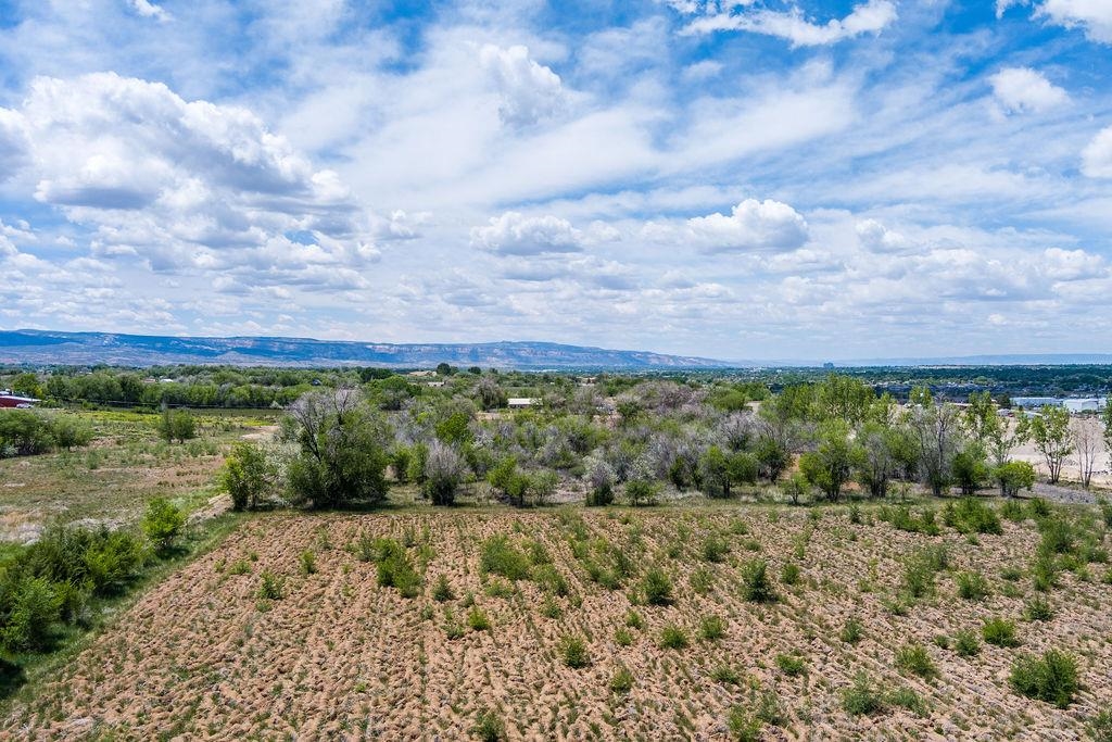 317 32 1/2 Road Grand Junction, CO 81503 - Photo 21 of 23 Gallery Image 21