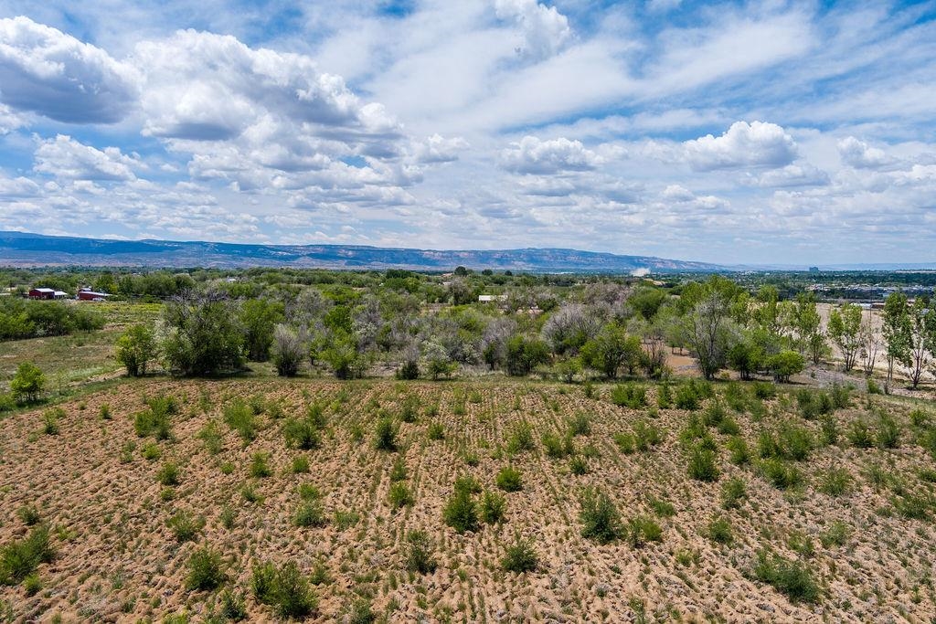 317 32 1/2 Road Grand Junction, CO 81503 - Photo 22 of 23 Gallery Image 22