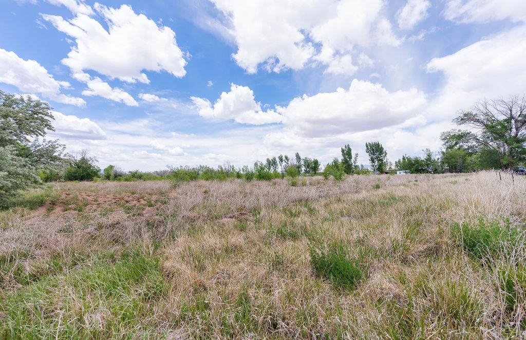 317 32 1/2 Road Grand Junction, CO 81503 - Photo 3 of 23 Gallery Image 3