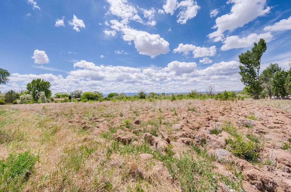 317 32 1/2 Road Grand Junction, CO 81503 - Photo 4 of 23 Gallery Image 4