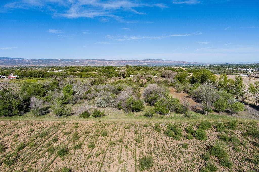 317 32 1/2 Road Grand Junction, CO 81503 - Photo 8 of 23 Gallery Image 8