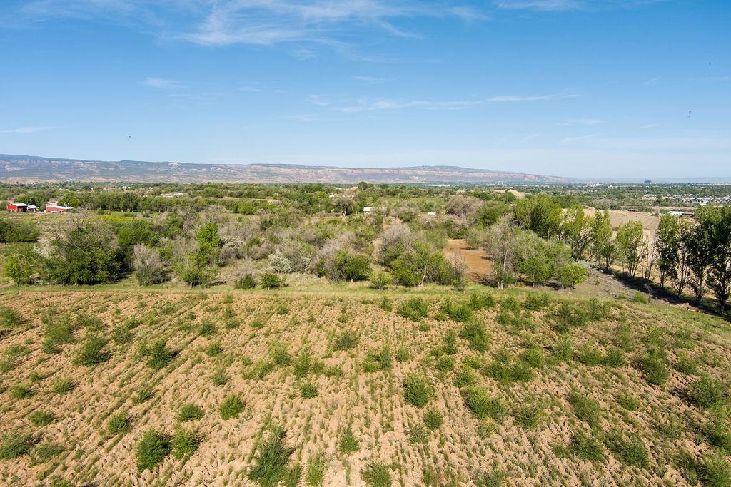 317 32 1/2 Road Grand Junction, CO 81503 - Photo 9 of 23 Gallery Image 9