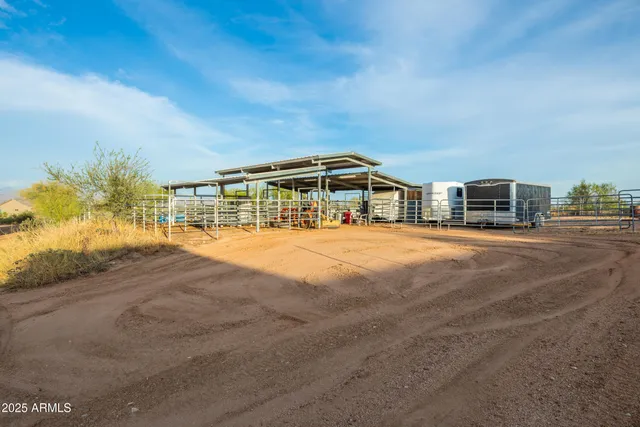a view of a house with a small yard and a large tree