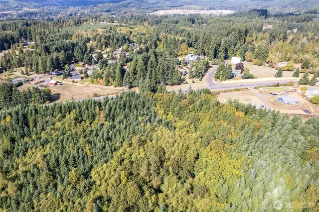 a view of a forest with a yard