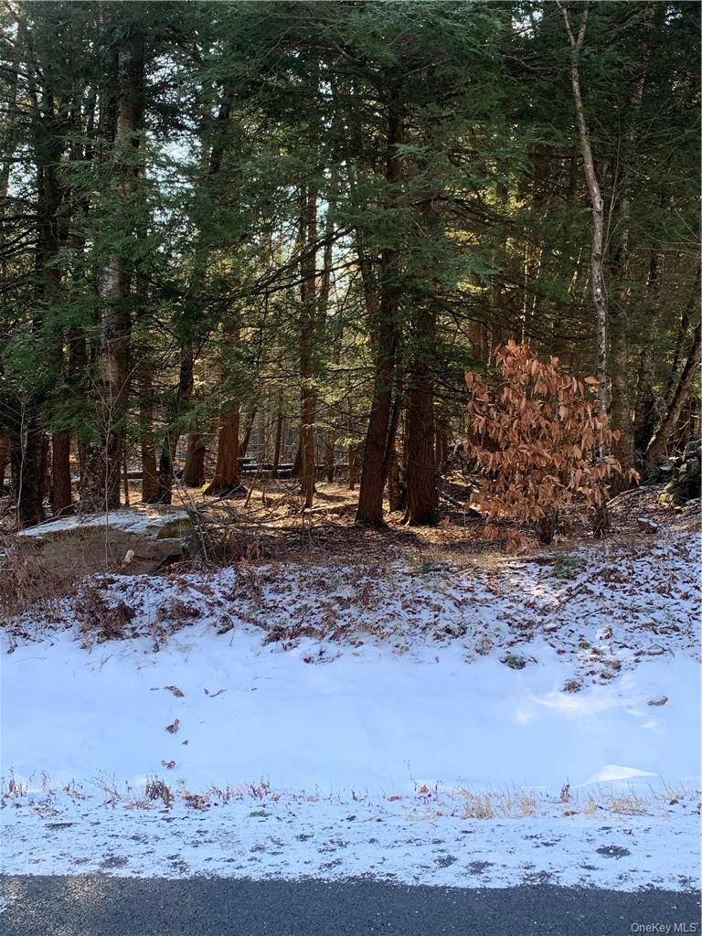 Friedman Road Harris, NY 12742 - Photo 6 of 6 a view of outdoor space with trees