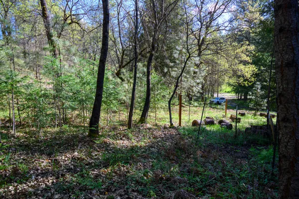 $60,000 | 90 Hillcrest Drive, Lewiston, CA 96052