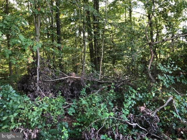 189 Public Road Columbus, NJ 08022 - Photo 1 of 3