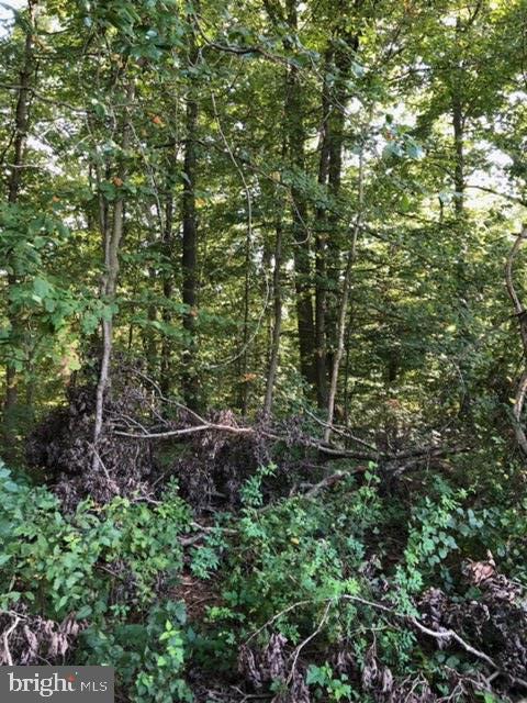 189 Public Road Columbus, NJ 08022 - Photo 2 of 3