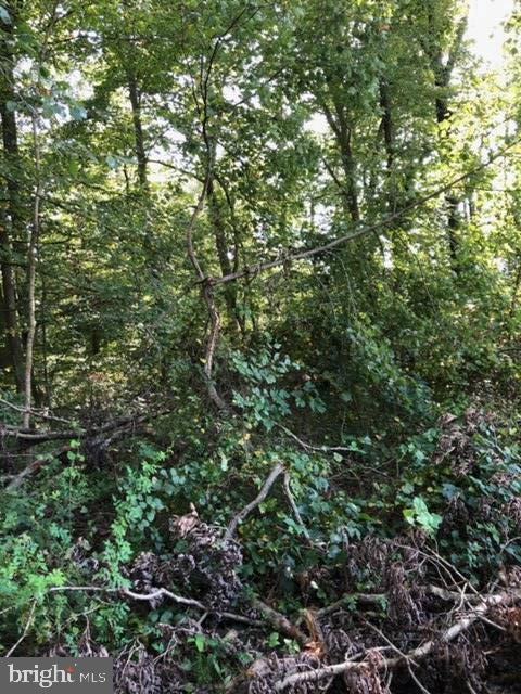 189 Public Road Columbus, NJ 08022 - Photo 3 of 3