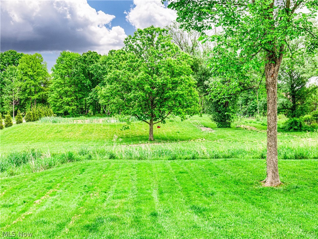 6573 Boneta Road Medina, OH 44256 - Photo 4 of 38 View of yard