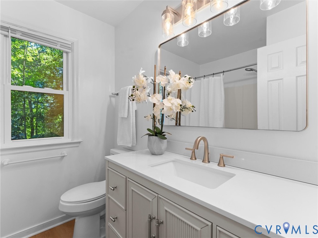 5311 Chestnut Bluff Road Midlothian, VA 23112 - Photo 28 of 36