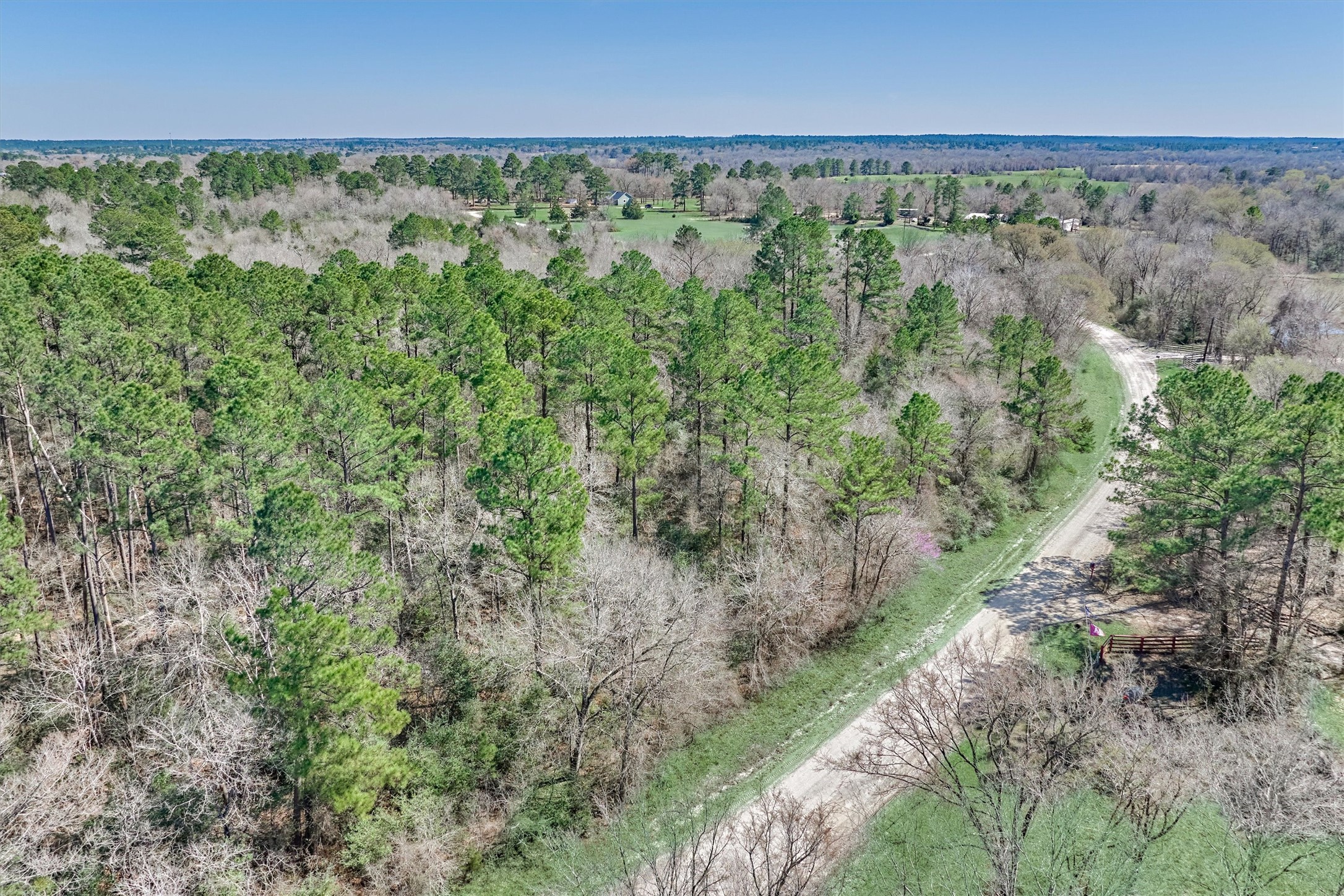 0 Piney Point Road Huntsville, TX 77340 - Photo 4 of 11 a view of a green field
