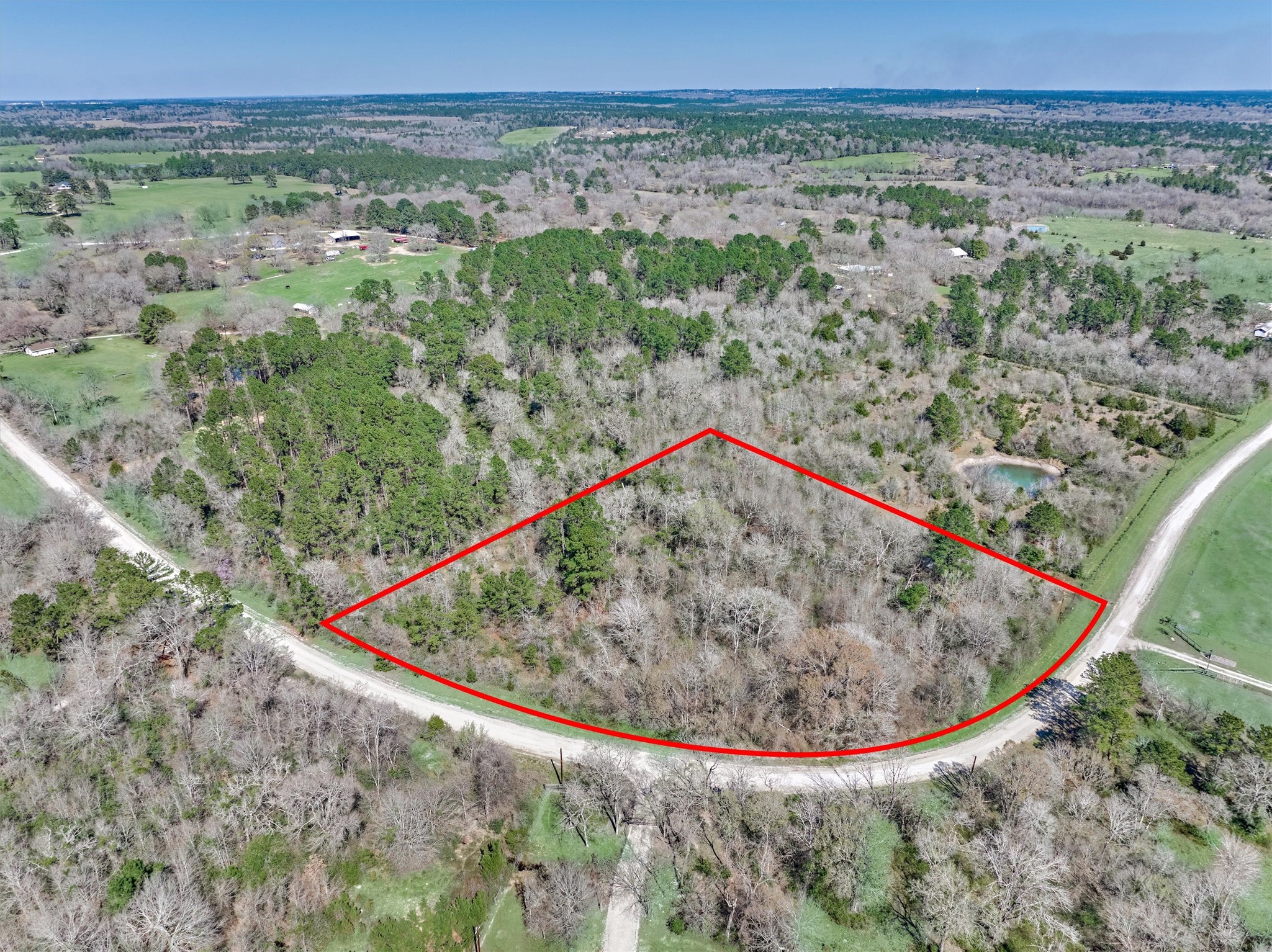 0 Piney Point Road Huntsville, TX 77340 - Photo 6 of 11 a view of a dry yard