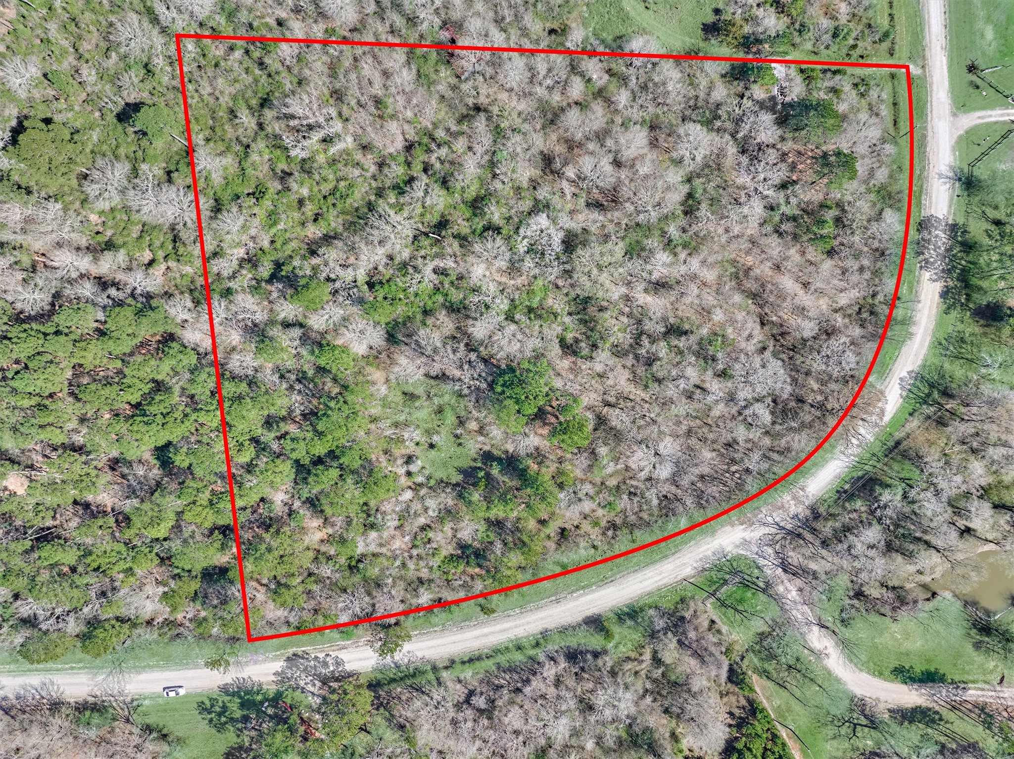 0 Piney Point Road Huntsville, TX 77340 - Photo 8 of 11 a view of a forest