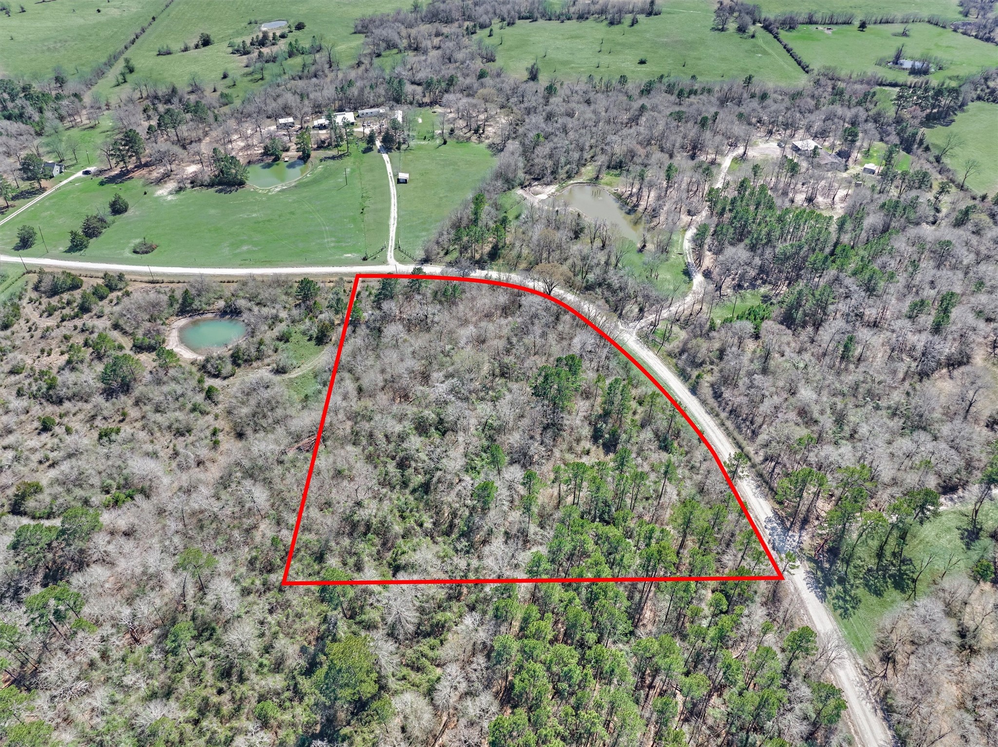 0 Piney Point Road Huntsville, TX 77340 - Photo 9 of 11