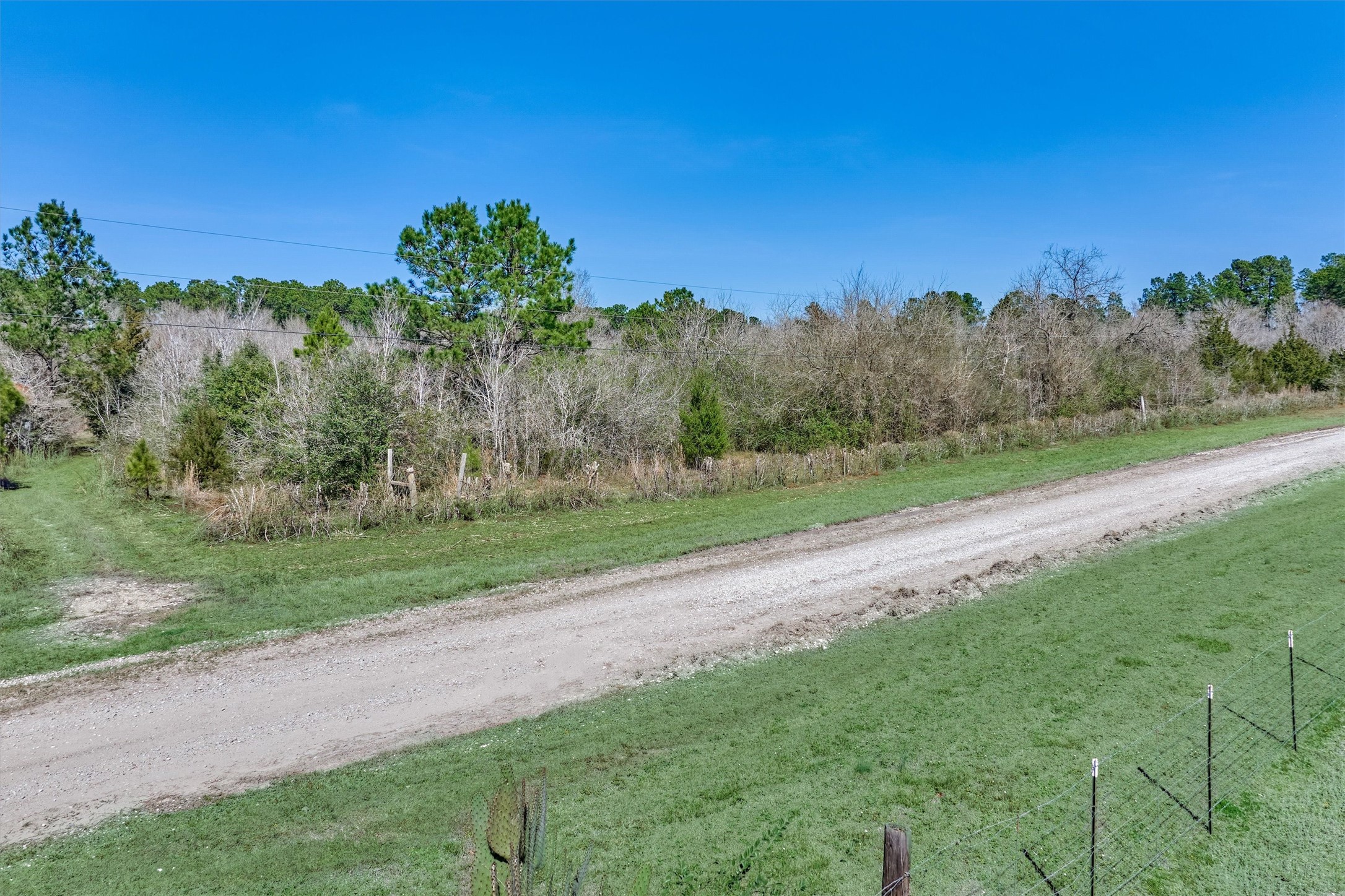 0 Piney Point Road Huntsville, TX 77340 - Photo 10 of 11 a view of a yard with a tree
