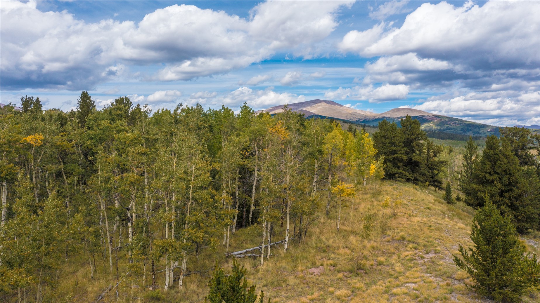 972 Lumberjack Road Fairplay, CO 80440 - Photo 13 of 25 Gallery Image 13