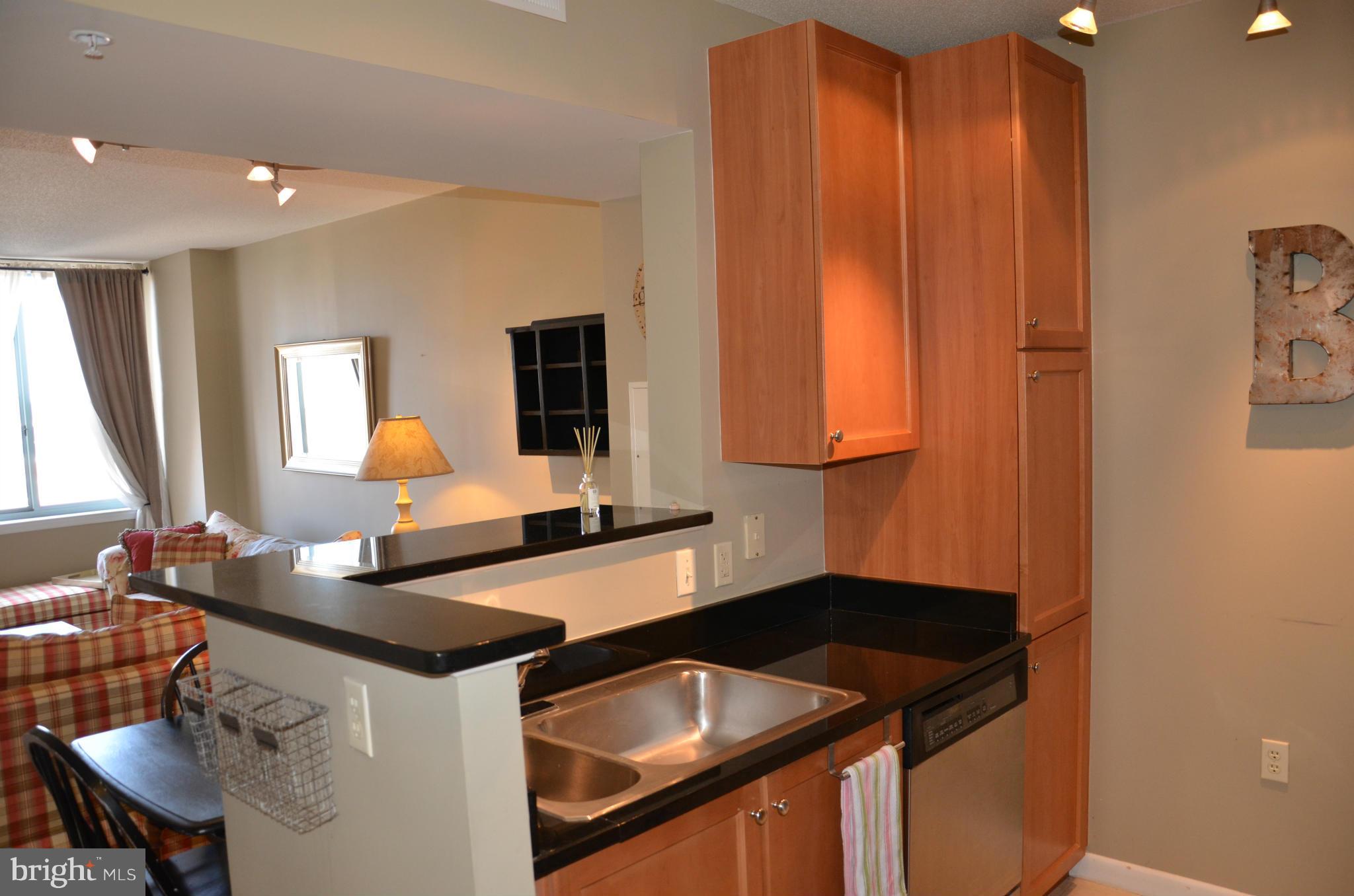 851 North Glebe Road, Unit 1116 Arlington, VA 22203 - Photo 13 of 30 a kitchen with a sink and a stove with wooden floor
