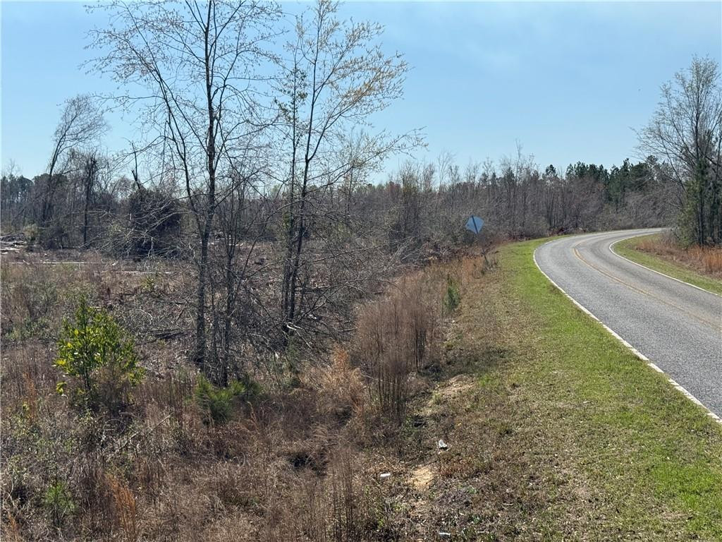 -35.01 Acres) Bacon School Road Alma, GA 31510 - Photo 10 of 19