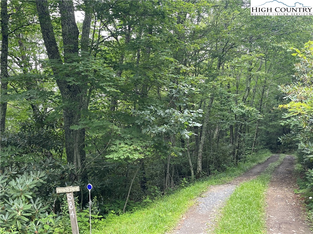 Snowridge Road Banner Elk, NC 28604 - Photo 3 of 7 a view of a lush green forest