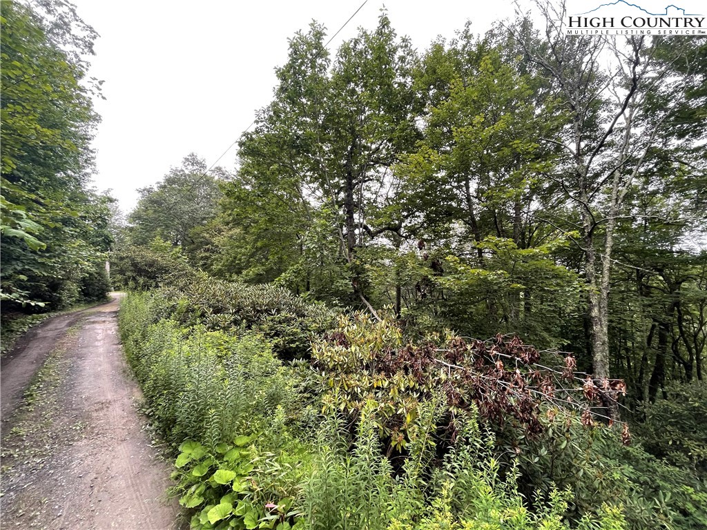 Snowridge Road Banner Elk, NC 28604 - Photo 5 of 7 a view of a forest with trees