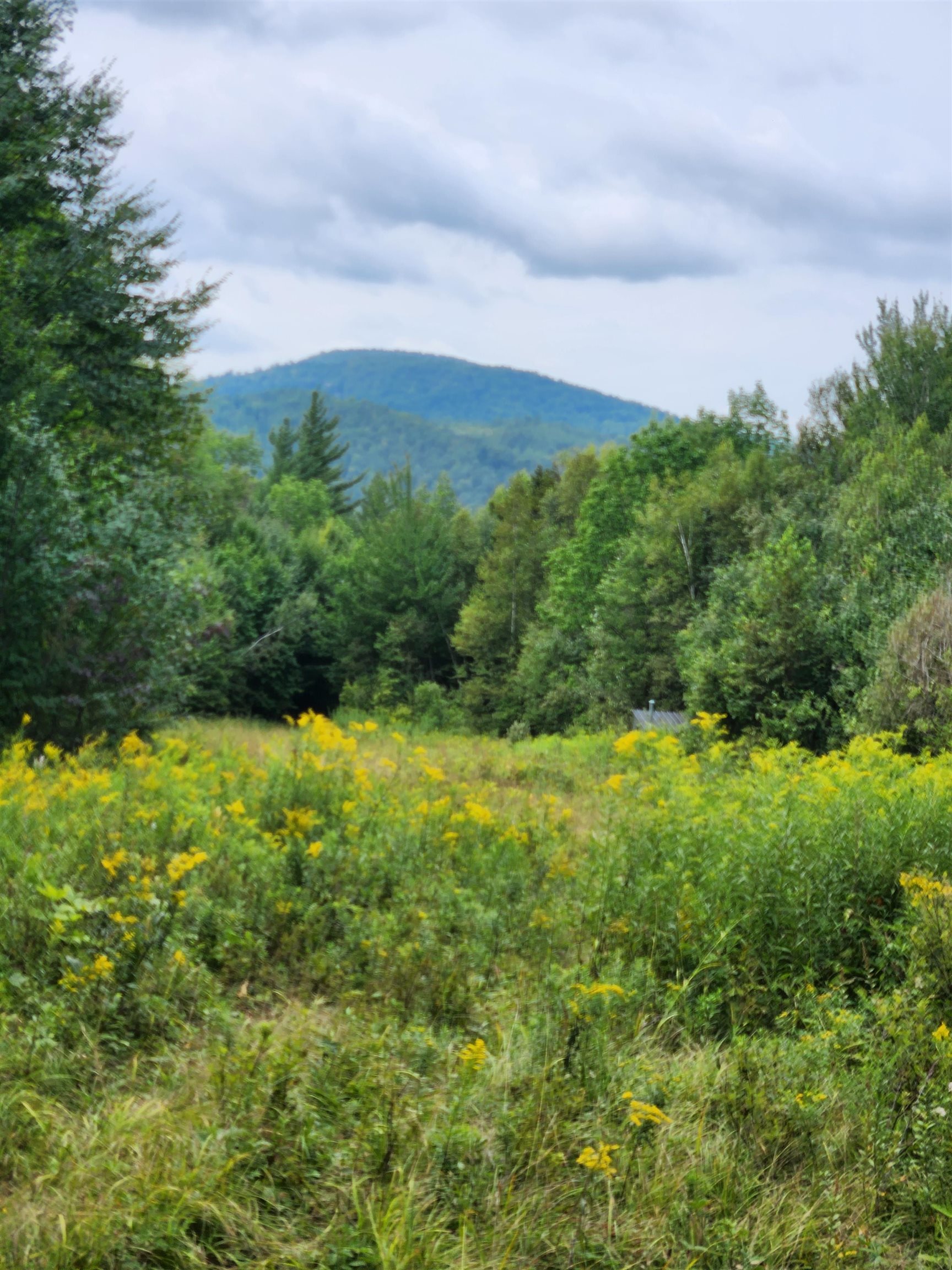 348 Parker Road Carroll, NH 03598 - Photo 1 of 7 Gallery Image 1