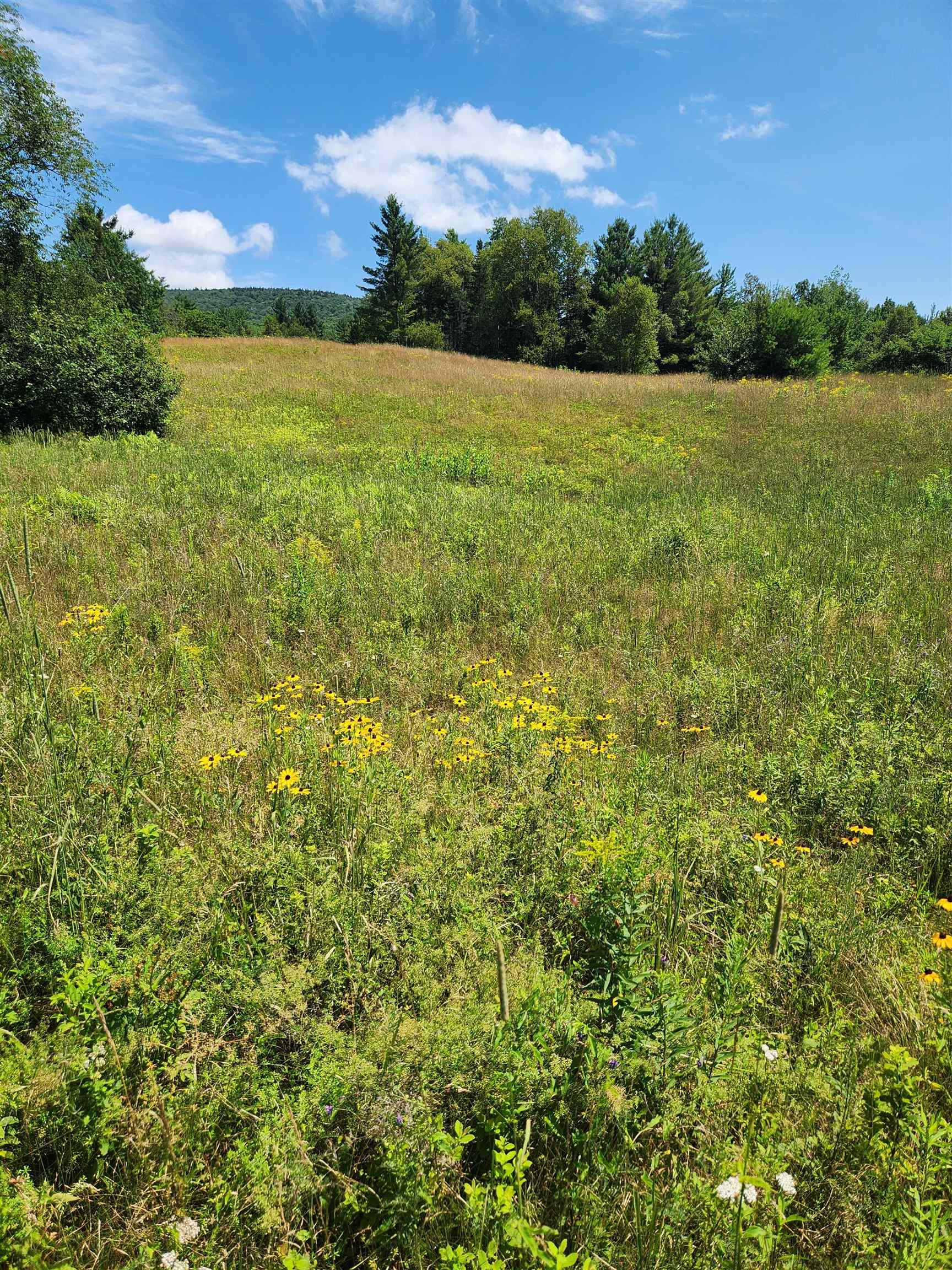 348 Parker Road Carroll, NH 03598 - Photo 3 of 7 Gallery Image 3