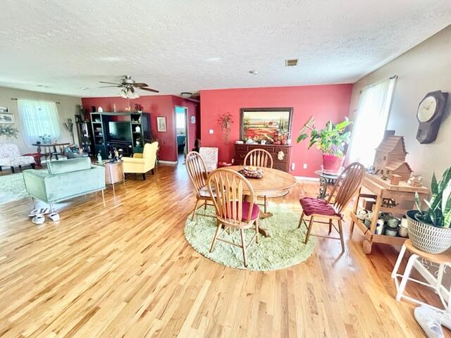 4568 Vaught Ridge Road Bethelridge, KY 42516 - Photo 7 of 34 IMG_5589