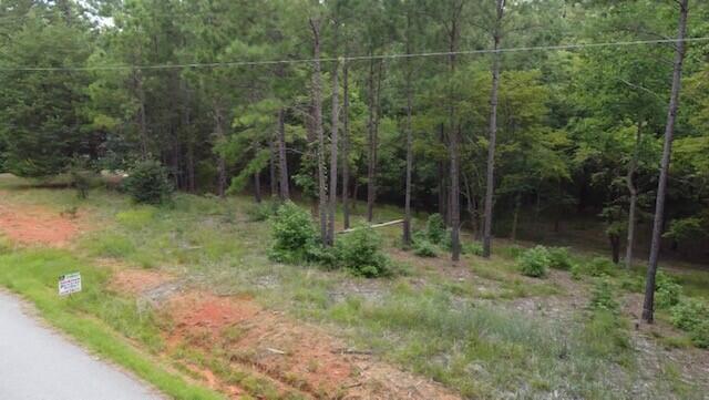 0 Lot 84 Lee Street Modoc, SC 29838 - Photo 11 of 12 18