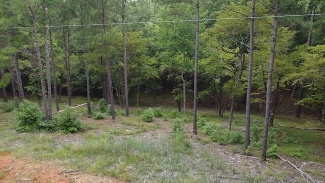 0 Lot 84 Lee Street Modoc, SC 29838 - Photo 2 of 12 1