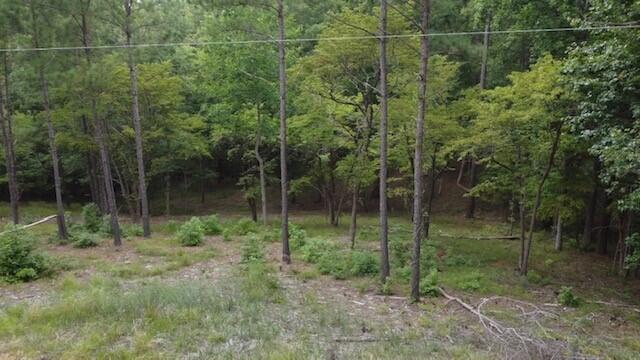0 Lot 84 Lee Street Modoc, SC 29838 - Photo 3 of 12 2
