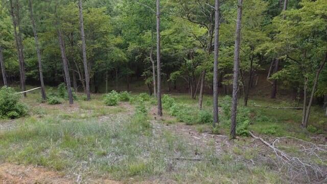 0 Lot 84 Lee Street Modoc, SC 29838 - Photo 4 of 12 3