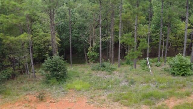 0 Lot 84 Lee Street Modoc, SC 29838 - Photo 5 of 12 8