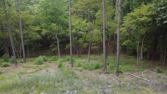 0 Lot 84 Lee Street Modoc, SC 29838 - Photo 6 of 12 9