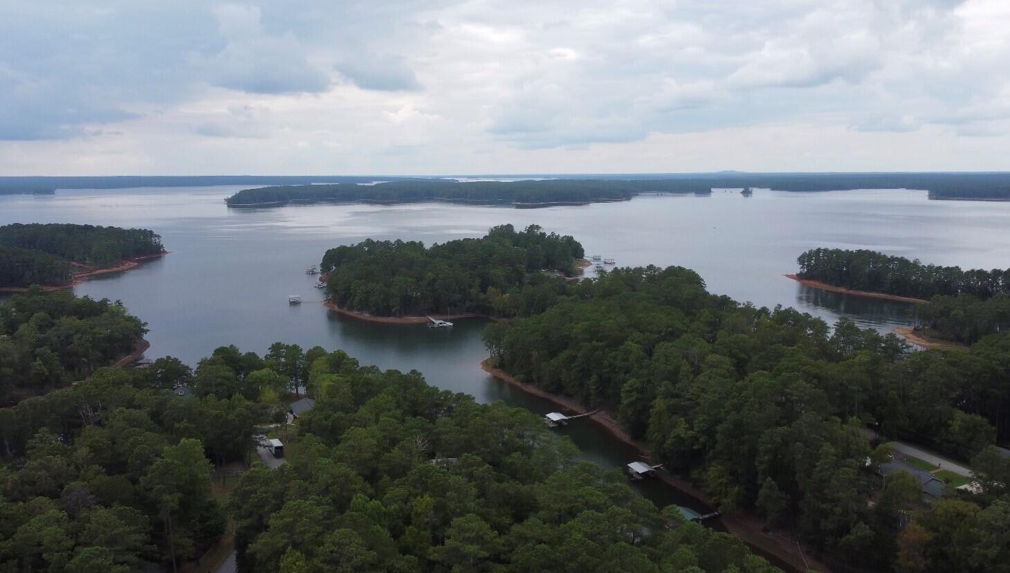0 Lot 84 Lee Street Modoc, SC 29838 - Photo 7 of 12 13