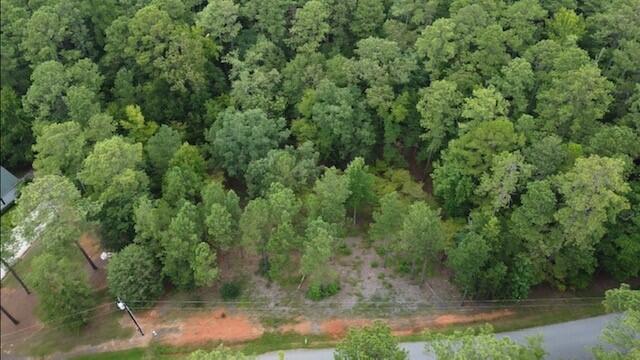 0 Lot 84 Lee Street Modoc, SC 29838 - Photo 8 of 12 14