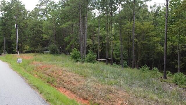 0 Lot 84 Lee Street Modoc, SC 29838 - Photo 9 of 12 15