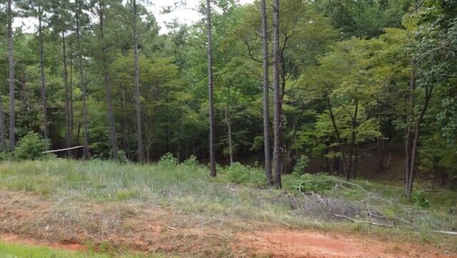 0 Lot 84 Lee Street Modoc, SC 29838 - Photo 10 of 12 16