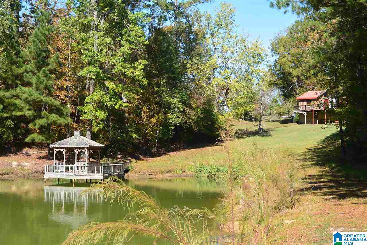 313 Hurricane Ridge Lawley, AL 36793 - Photo 7 of 25 Gallery Image 7