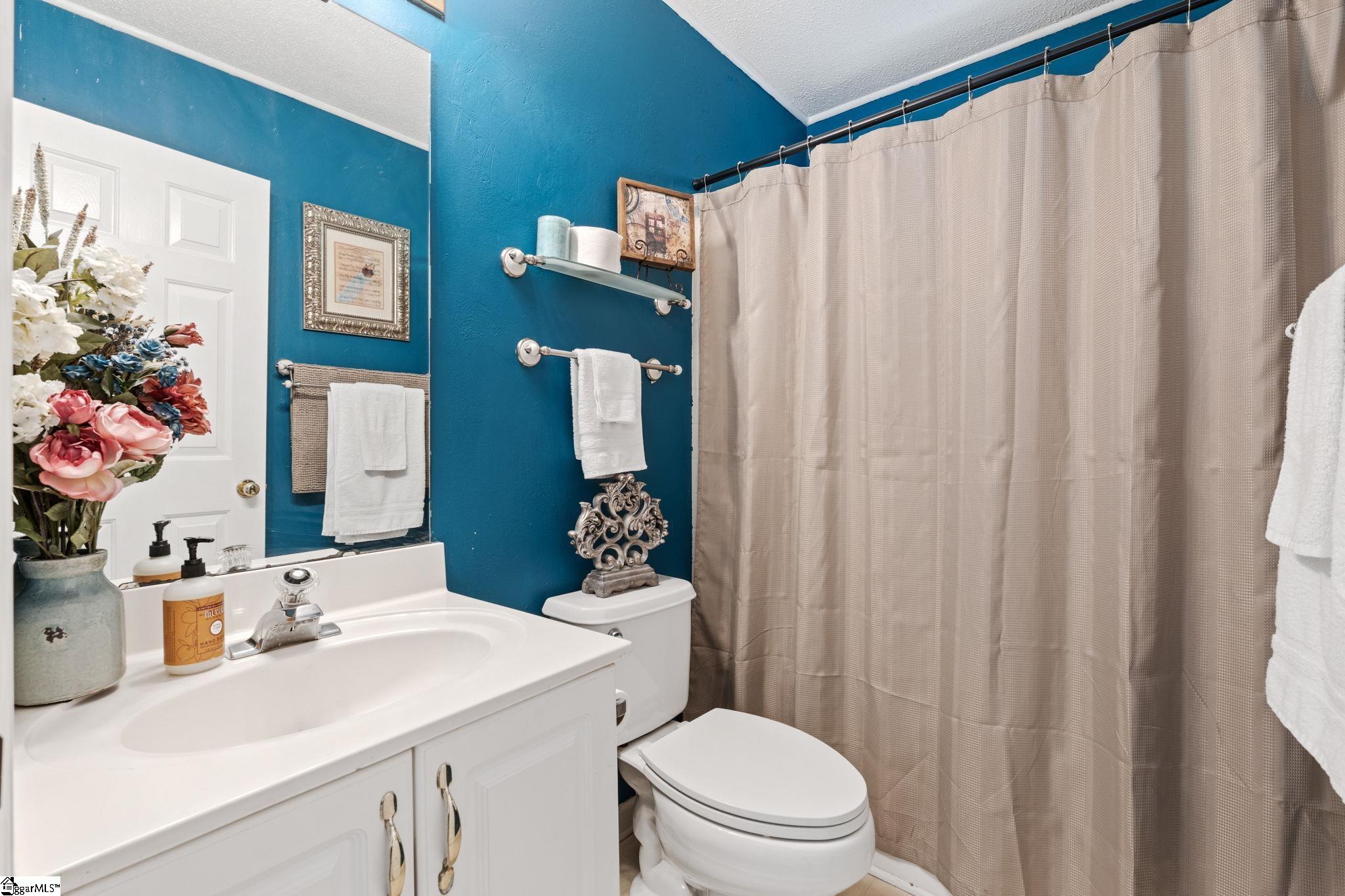 19 Waterfield Court Greer, SC 29650 - Photo 20 of 26