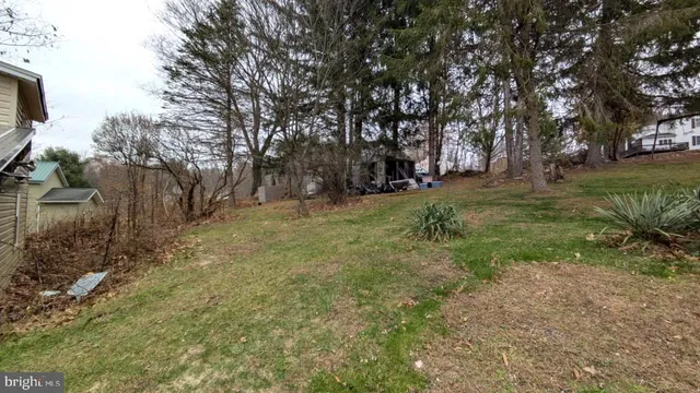 a view of a yard with a tree