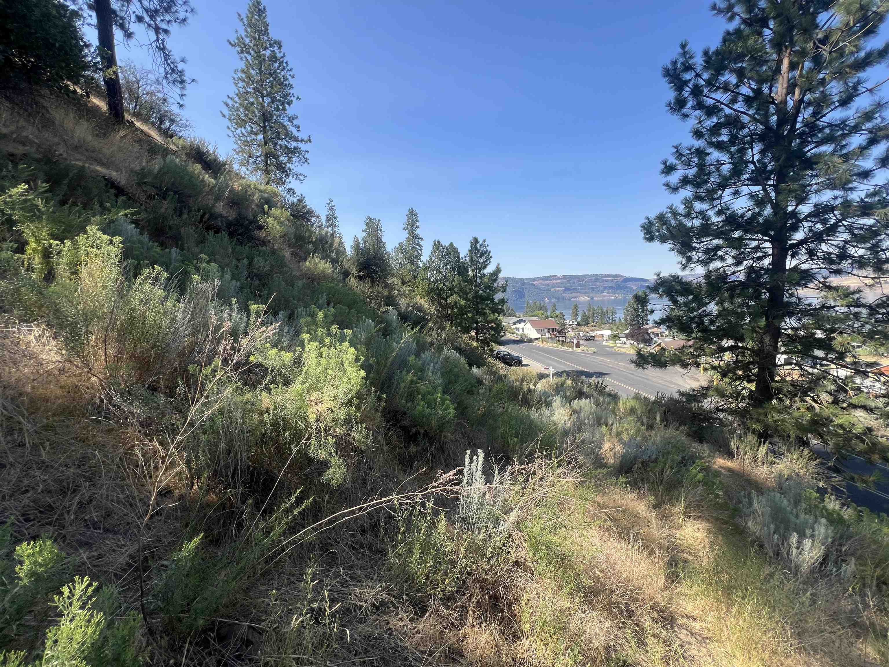 Seven East Bays Road Davenport, WA 99122 - Photo 13 of 17