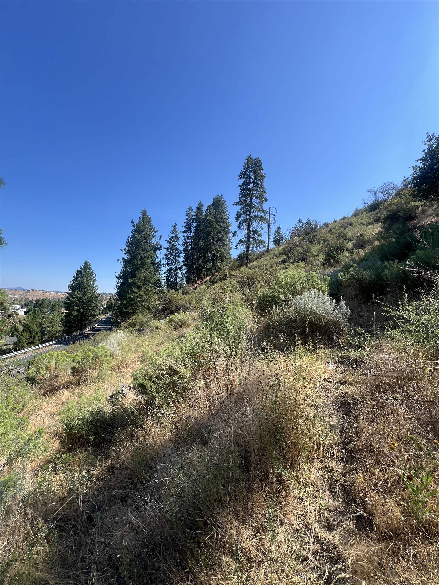 Seven East Bays Road Davenport, WA 99122 - Photo 6 of 17