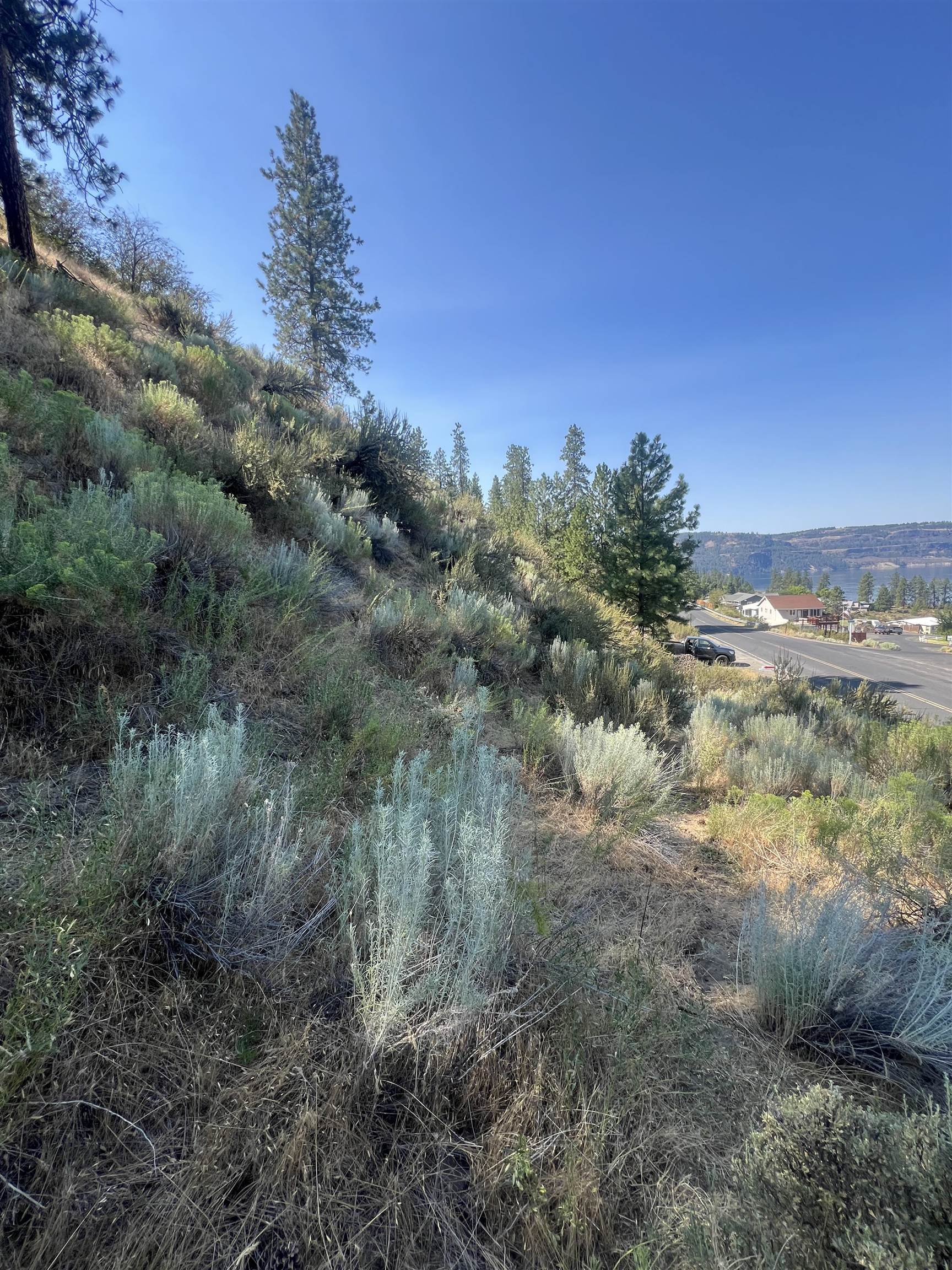 Seven East Bays Road Davenport, WA 99122 - Photo 7 of 17