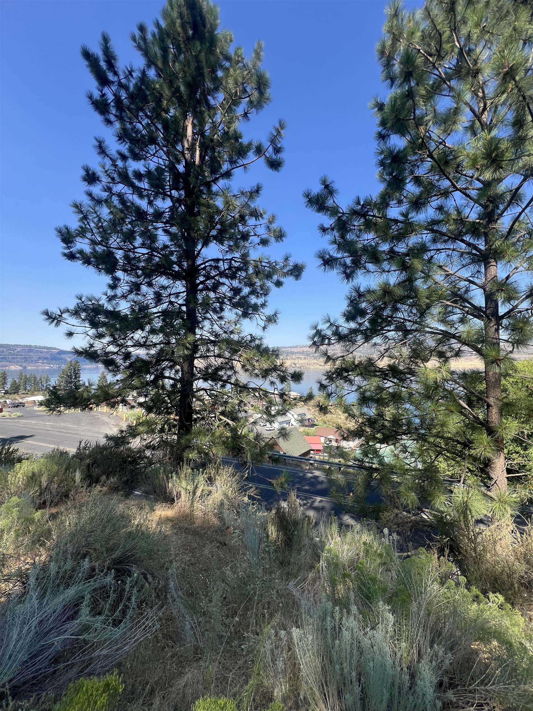 Seven East Bays Road Davenport, WA 99122 - Photo 9 of 17